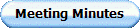 Meeting Minutes